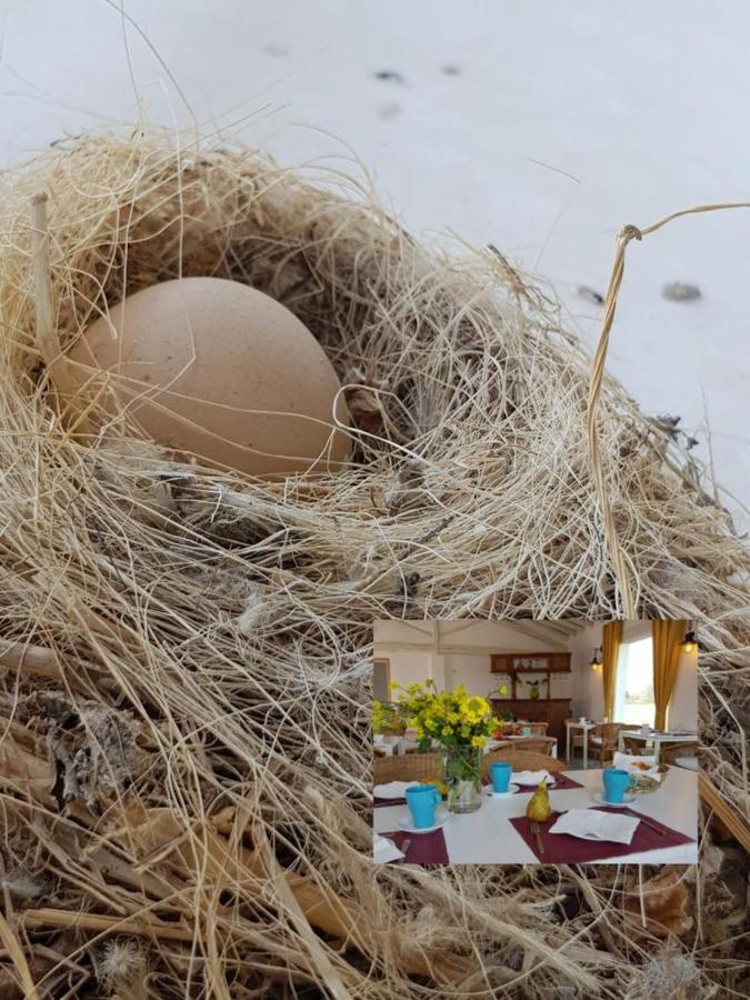Hotel Valle Del Oja Casalarreina Zewnętrze zdjęcie