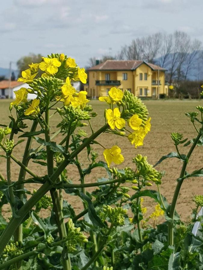 Hotel Valle Del Oja Casalarreina Zewnętrze zdjęcie