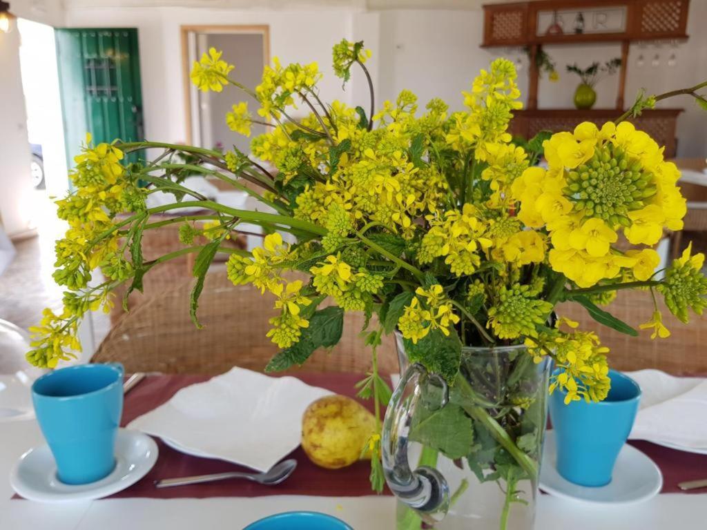 Hotel Valle Del Oja Casalarreina Zewnętrze zdjęcie