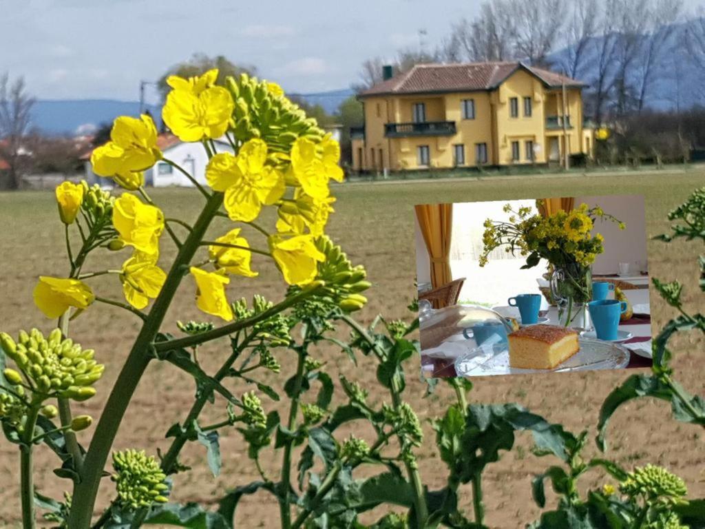Hotel Valle Del Oja Casalarreina Zewnętrze zdjęcie