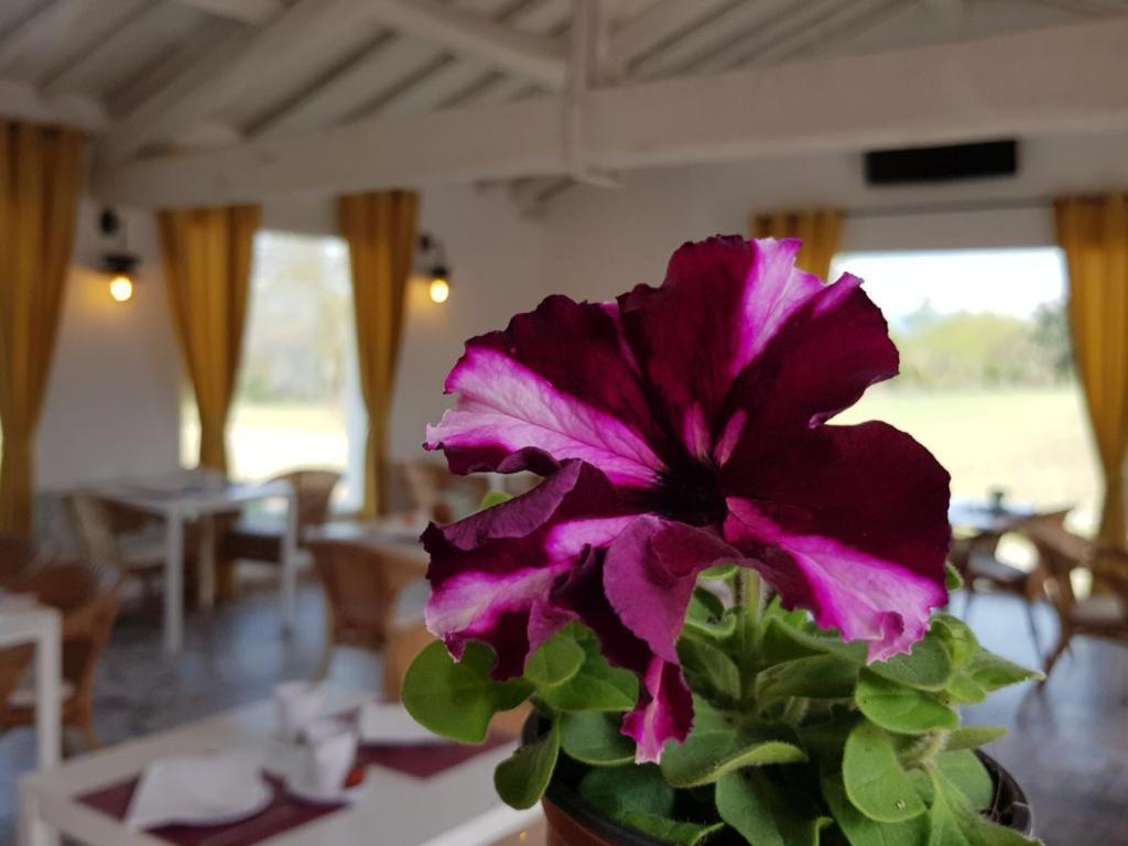 Hotel Valle Del Oja Casalarreina Zewnętrze zdjęcie