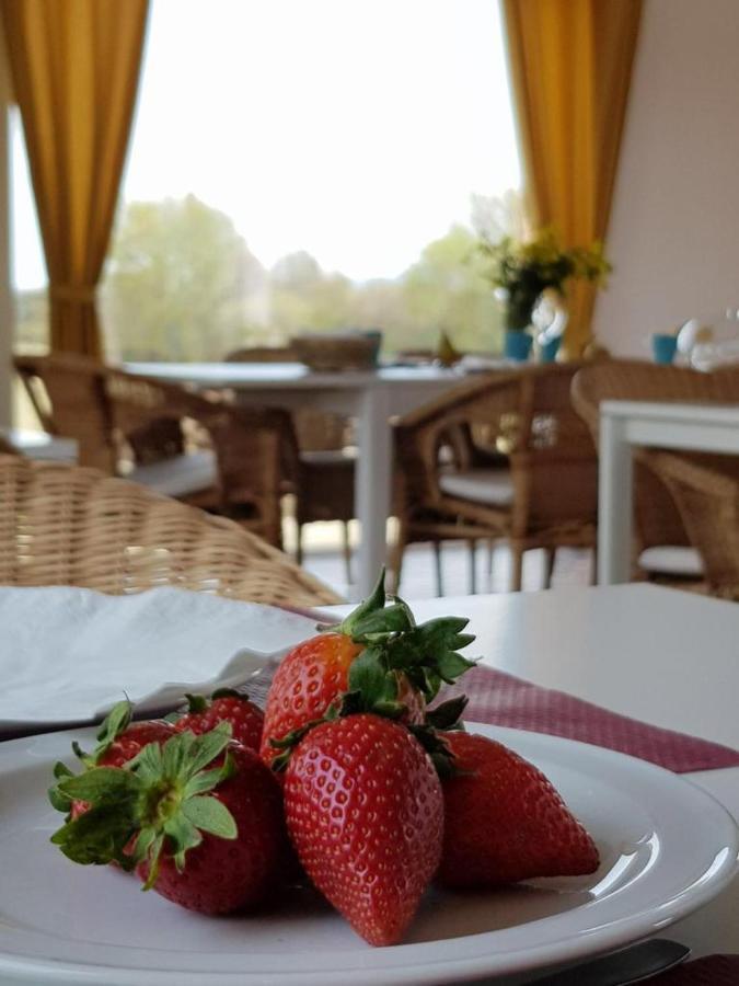Hotel Valle Del Oja Casalarreina Zewnętrze zdjęcie